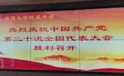 你好，二十大！
